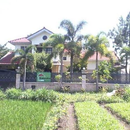 Ferienwohnung Grya Natasha Yogyakarta Exterior foto